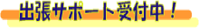 �����ȃ`�P�b�g��